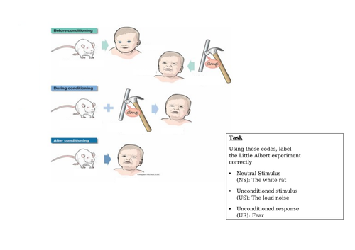 A' Level Psychology- developmental  Psychology - Little Albert and phobias - full lesson