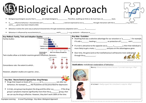 Key ideas:  Biological Approach to Psychology