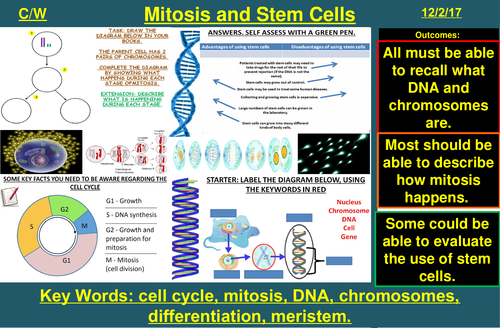 Mitosis, Cell Cycle, Stem Cells, Chromosomes | AQA B1 4.1 | New Spec 9-1 (2018)