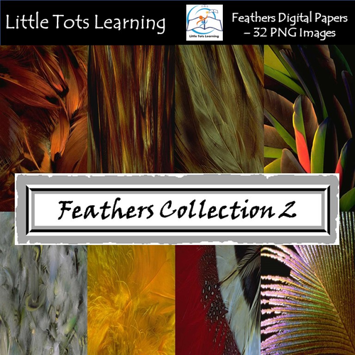 Feathers Digital Papers/Background - Peacock - Tribal Feathers - Set 2