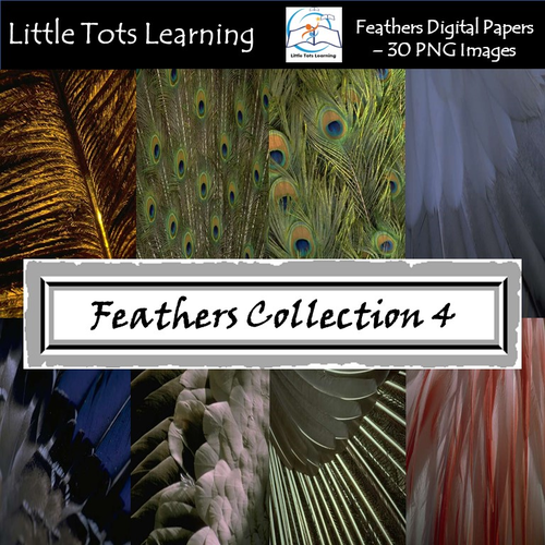Feathers Digital Papers/Background - Peacock - Tribal Feathers - Set 4