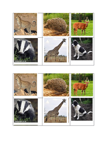 Colour pictures of African animals and UK animals