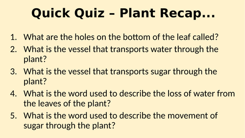 Transpiration - Potometer Practical