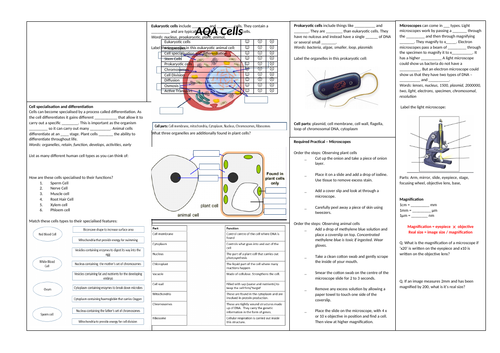 1. Cell Biology Revision Broadsheet (AQA Combined Science Trilogy GCSE)