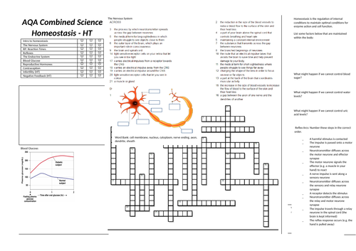 5. Homeostasis and Response Revision Broadsheet (AQA Combined Science Trilogy GCSE)