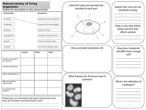 EDEXCEL IGCSE BIOLOGY 9-1: REVISION MATS (variety of life/biol molecules/food tests/cells)