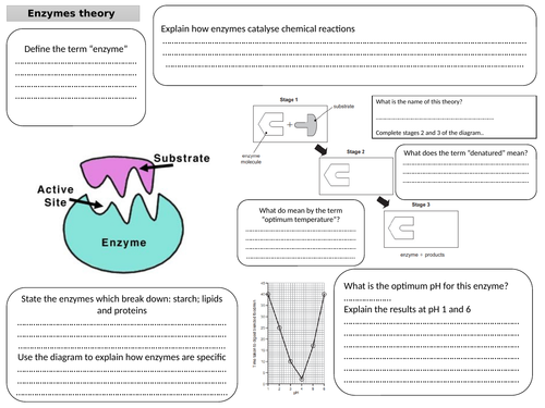 Edexcel IGCSE Biology 9-1 Revision Mat (covering enzymes + practicals and movement in/out cells)