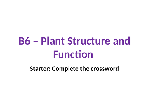 B6 Plant Structure and Function Revision Lesson