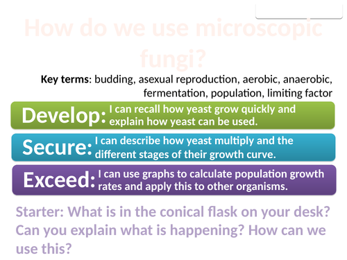 8Db Microscopic fungi (Exploring Science)