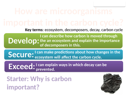 8De Decomposers and carbon (Exploring Science)
