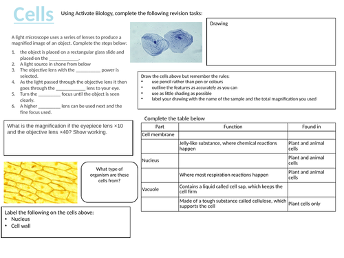 KS3 CELLS AND DIFFUSION REVISION ACTIVITY