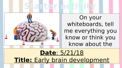 NEW SPEC AQA GCSE PSYCH - Development - Early brain development
