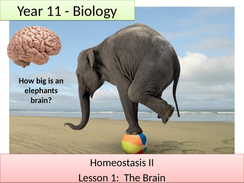 SoW AQA 9-1 Triple Biology Homeostasis