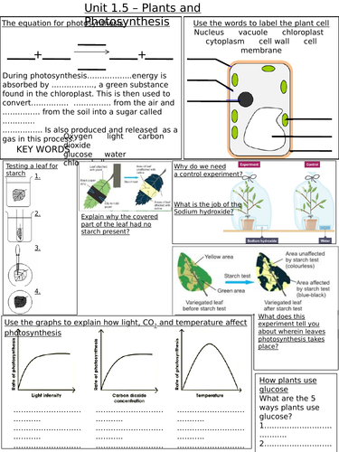 1.5 Plants and photosynthesis revision sheet