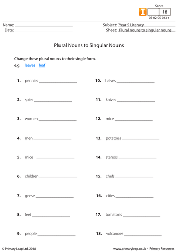 KS2 Literacy Resource - Changing Plural Nouns to Singular Nouns ...