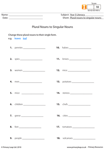 KS2 Literacy Resource - Changing Plural Nouns to Singular Nouns