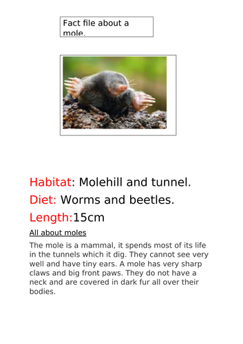 Fact file about a mole.