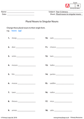 KS2 Literacy Resource - Changing Plural Nouns to Singular Nouns (2)