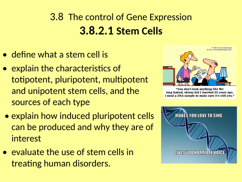 NEW A2 BIOLOGY - UNIT 8 - THE CONTROL OF GENE EXPRESSION