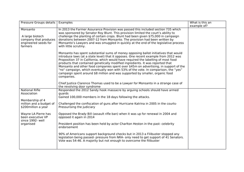 US Pressure Groups examples