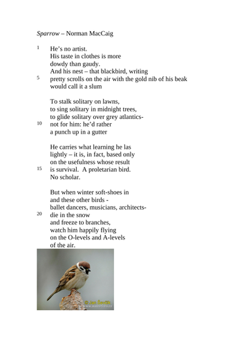 Sparrow by norman maccaig essay 04 picture