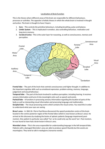 Biopsychology Revision Guide- AQA A2 Psychology