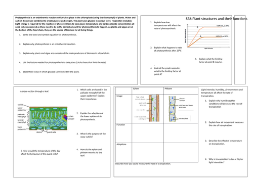 SB6 Plant structure and functions module summary
