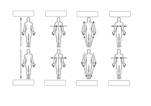 L3 Btec Sport U1 A&P All Lessons