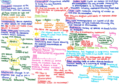 Ecology Revision Mat