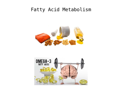 A level Biology - Fatty acid metabolism