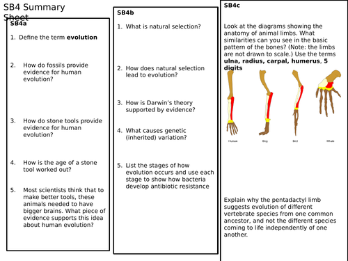 SB4 Summary Revision Sheet