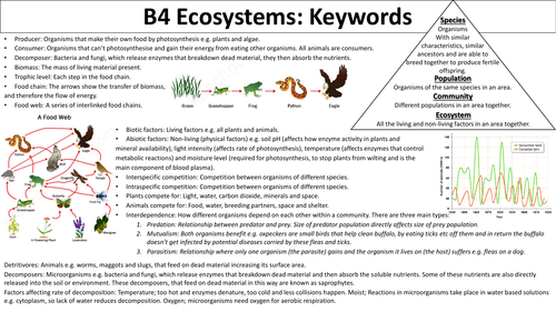 OCR Gateway A GCSE Ecosystems revision mat