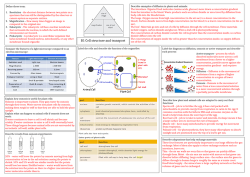 AQA Cell structure and transport answer sheet