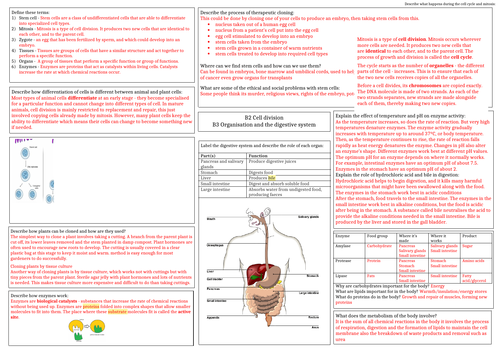 AQA Cell division and digestive system answer sheet
