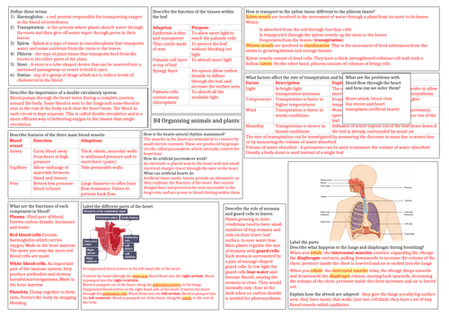 AQA Organising animals and plants answer sheet