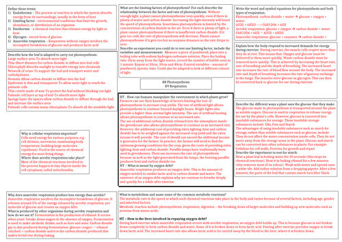 AQA photosynthesis and respiration answer sheet