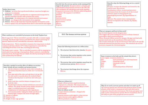 AQA Nervous system answer sheet