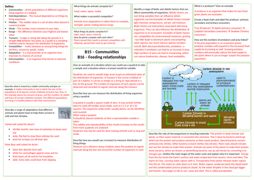 AQA Adaptation answer sheet