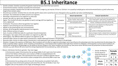 OCR Gateway A 5.1 Inheritance Revision Map