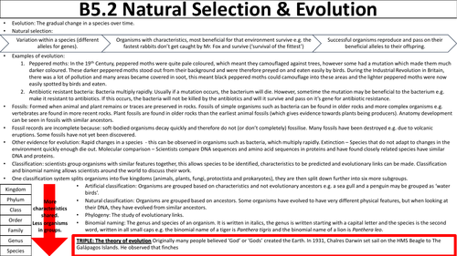 OCR Gateway A Natural selection and evolution revision map