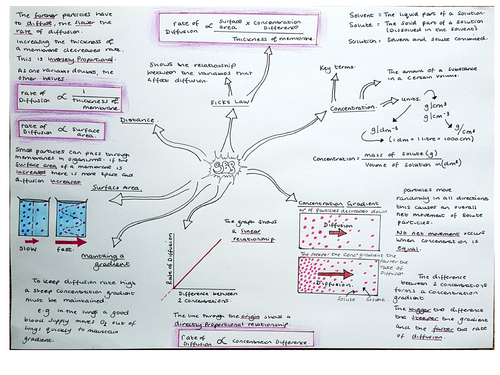 SB8 Revision mindmap, Transport in animals. edexcel Biology 9 - 1