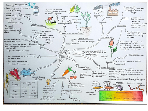SB9, Revision Concept map, Ecosystems, Edexcel 9 - 1 Biology