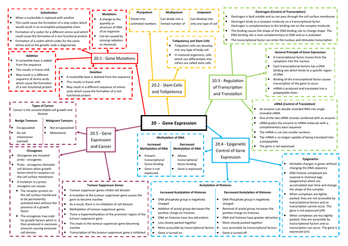 Gene Expression Revision Mind Map - AQA AS/A Level Biology (7401/7402)