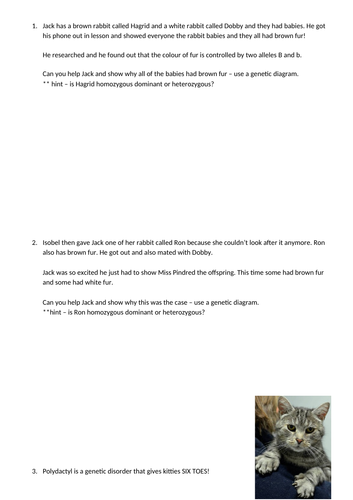 AQA 9-1 Biology Punnett Square / Genetic Diagram Practice