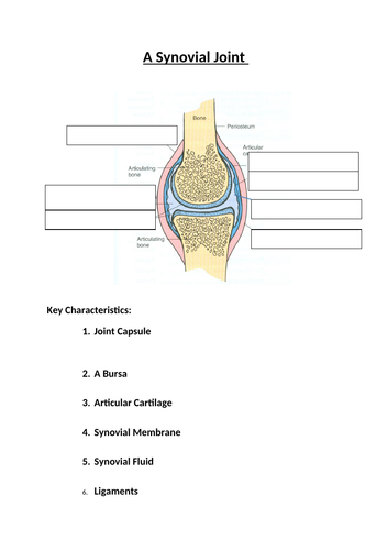 BTEC Sport Level 3 Anatomy & Physiology Learning Aim A: Joints