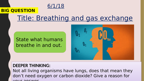 AQA new specification-Breathing and gas exchange-B4.5