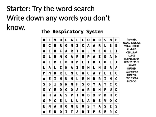 KS3 - Differentiated Respirtatory System
