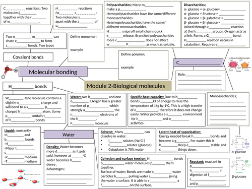 OCR A level biology revision power point and gap fill 2.2 Biological molecules