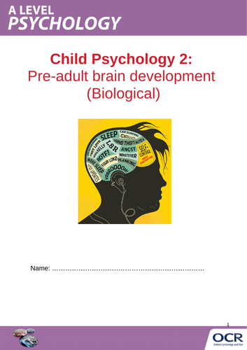 OCR A LEVEL PSYCHOLOGY: CHILD PSYCHOLOGY TOPIC 2: PRE-ADULT BRAIN DEVELOPMENT (BIOLOGICAL) 3 L