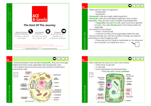 A Level Biology I Section 1 Cell Structures Revision Cards